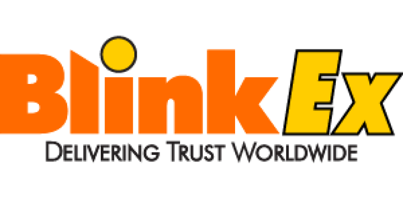 Blink EX